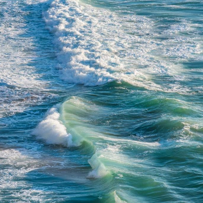 Plasma marin isotonique ou hypertonique ? - laboratoire de biologie marine détox en France Image Plasma marin isotonique ou hypertonique ?