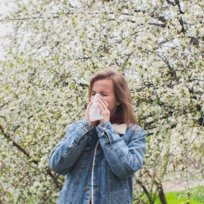 Comment se prémunir naturellement des allergies ? - laboratoire de biologie marine détox en France Image Comment se prémunir naturellement des allergies ?