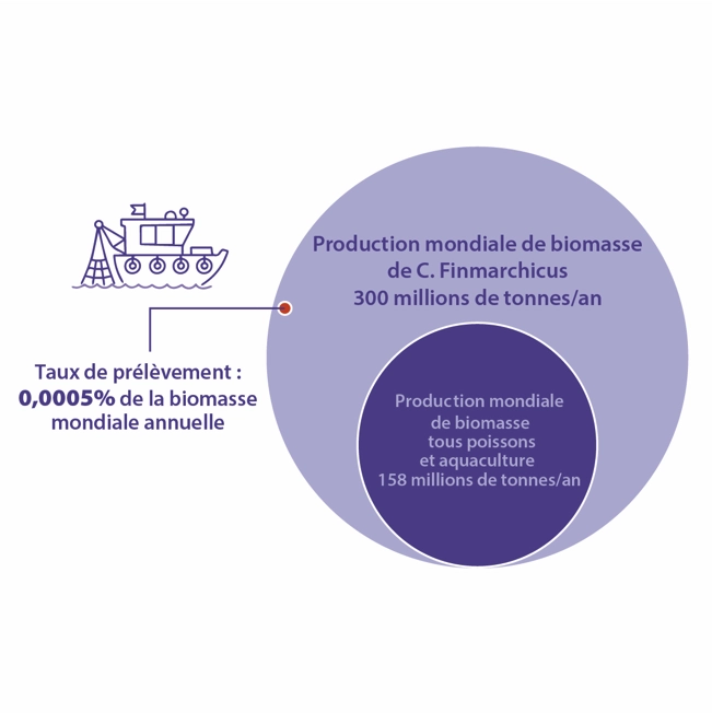  - Compléments Alimentaires Marins